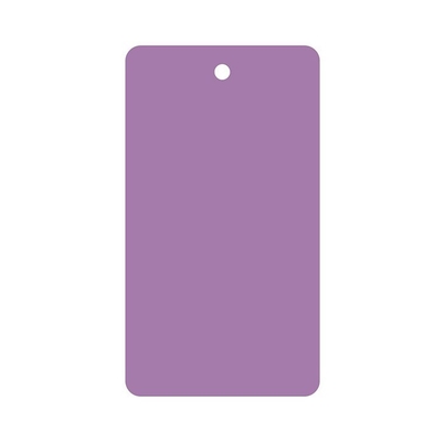 Plastic Blank Tag PVC Recycle Corful Rectangle Die Cutting Hang Tag